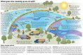 /album/photo-gallery-photogallery/what-goes-into-cleaning-up-an-oil-spill-graphic-1dd3cb2893d1aa59-jpg1/