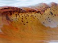 /album/photo-gallery-photogallery1/oilspill-jpg/